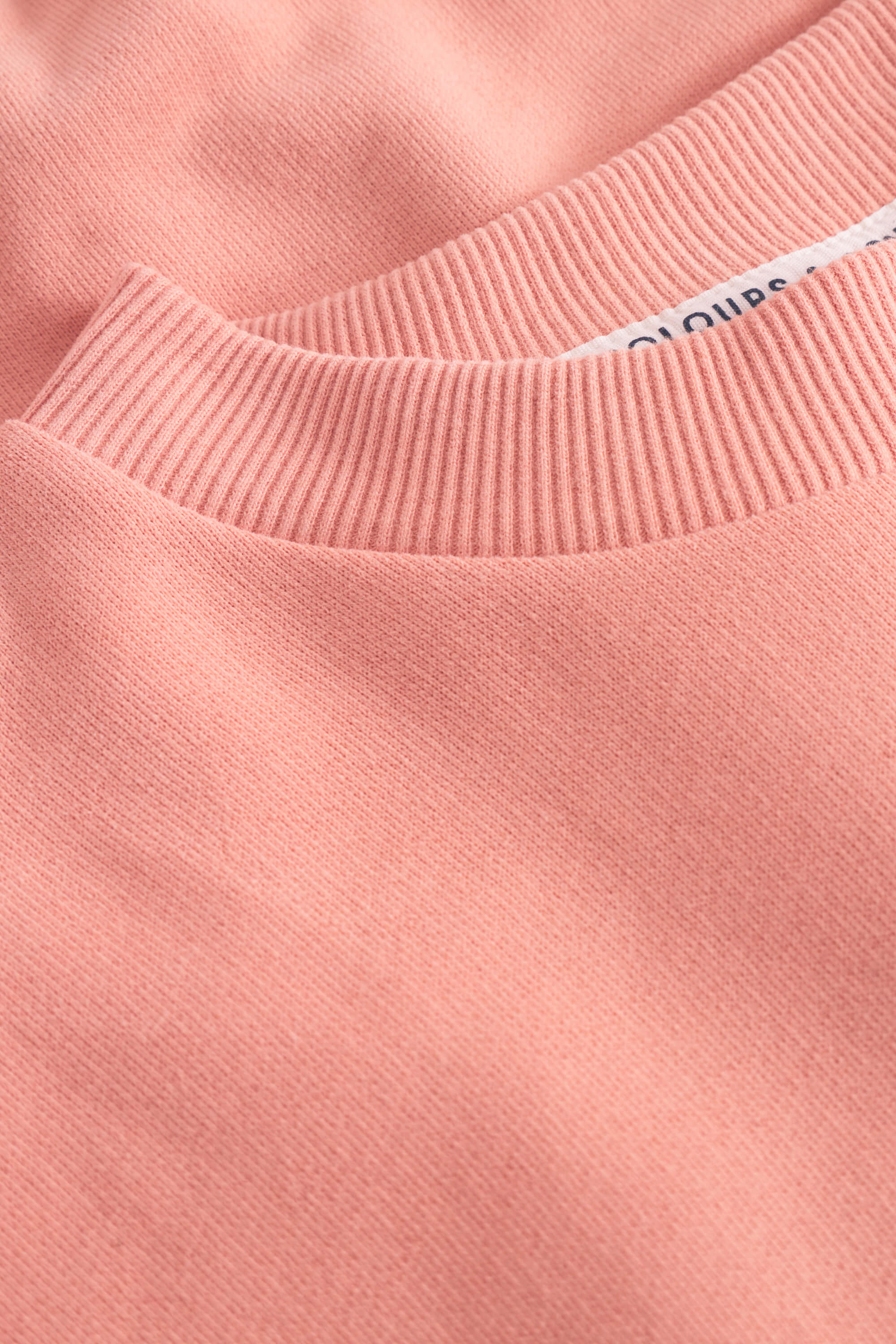 Sweatshirt Made For All Of Us - Salmon